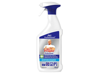 Įvairių paviršių valiklis ir dezinfekantas Mr. PROPER PROFESSIONAL, 750ml