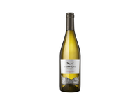 Baltasis sausas vynas TRAPICHE RESERVE CHARDONNAY, 750 ml