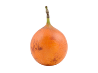 Persikinė pasiflora, 1vnt