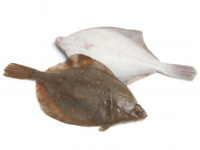 Jūrinė plekšnė, skrosta, su galva, 0,3-0,4kg