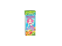 Multivitaminų sulčių gėrimas GRAND, 200 ml