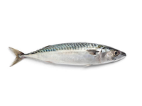 Šaldyta atlantinė skumbrė, su galva, 400-600 gr, ~21kg