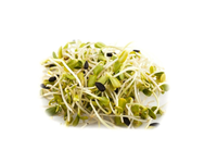 Ridikėlių daigai, 50 g