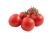 Raudonieji pomidorai su šakele, 1 kl., 1 kg