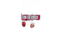 Kvapų naikinimo priemonė Gel Sachet Elix 1 vnt. Red fruits