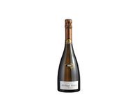 Putojantis baltasis sausas vynas ARTHUR METZ, 750 ml