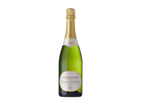 Putojantis baltasis sausas vynas B&G CREMANT DE BOURGOGNE, 750 ml