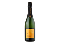 Putojantis vynas HOYA DE CADENAS, Cava Brut Nature Blanco, 11,5, 0,75 l