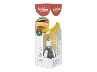 Oro gaiviklis-kvapnios lazdelės Bolsius 60ml Mango