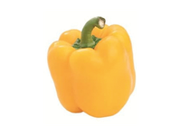 Geltonos saldžiosios paprikos, 90-110 mm, 1 kg
