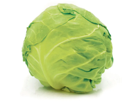 Švieži baltagūžiai kopūstai, 1 kg