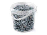 Šilauogės kibirėlyje, 400 g