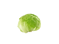 Salotos “Iceberg” kg 2kl.