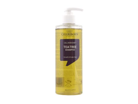 CELLREBORN CELLREBIOME TEA TREE plaukų šampūnas, 430 ml