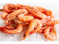 Šaldytos baltakojės blyškiosios krevetės, nevirtos, lukštentos, 41/50, 25 % glazūra, 1kg