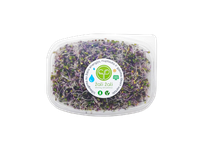 Kaliaropių daigai ŽALI ŽALI, 60 g