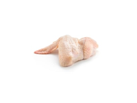 Atvėsinti viščiukų broilerių sparneliai ~ 10 kg