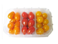 Pomidorai TRI MIX, smulkiavaisiai, I kl., fasuoti, 300 g