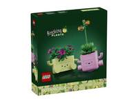 Konstruktorius LEGO Botanikos 11506