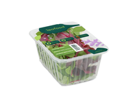 Salotų mišinys CLASSIC LEAFOOD, 70 g
