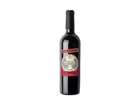 Vynas VILLA LOREN Valpolicella Ripasso DOC, raudonas, 0,75 l