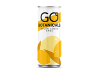 Gazuotas gėrimas GO BOTANICALS melionų skonio, 330 ml