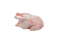 Šaldytas viščiukas broileris, HALAL,1 kg.