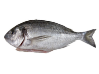 Šaldyta auksaspalvė dorada su galva, skrosta, 300-400g, 20% glazūra,5kg