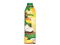 Ananasų ir kokosų sultys PFANNER, 1 l