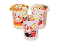 Jogurtas GAR2 (3 rūšių), 400 g