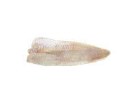 Šaldyta ledjūrio menkės filė be odos 400-800g,9 kg