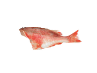 Šaldytas didysis jūrinis ešerys,be galvos,skrostas,500-700,10% glazūra,~1kg