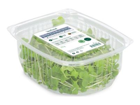 Brokolių mikrožalumynai LEAFOOD, 25g