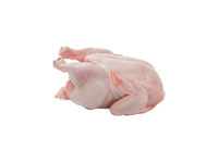 Šaldytas viščiukas griliui 10x800 g, 8 kg