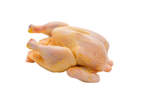 Šaldytas kukurūzinis viščiukas, 1,5 kg