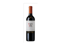 Raudonasis sausas vynas CASILLERO DEL DIABLO CARMENERE, 750 ml