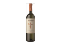 Baltasis pusiau saldus vynas ALAZANI VALLEY TBILVINO, 750 ml