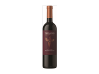 Raudonasis pusiau saldus vynas ALAZANI VALLEY TBILVINO, 750 ml