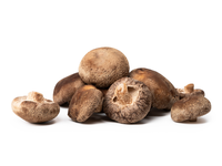 Grybai Shiitake MYCOS ROYALE, I klasė, kg