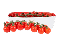 Smulkiavaisiai pomidorai su šakelėmis MIS PERFECT, 350 g