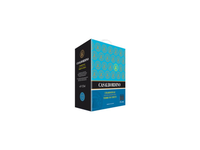Casalbordino Chardonnay 3 L