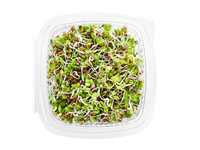 Ridikėlių (Rose) daigai, 50 g