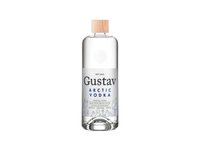 Degtinė GUSTAV, 700 ml