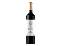 Camino de Chile Gran Reserva Cabernet Sauvignon-Syrah 0,75 L