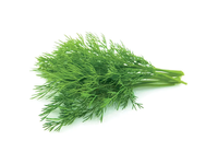 Šviežių krapų ryšulėlis, 50 g
