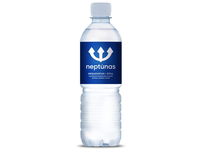 Negazuotas natūralus mineralinis vanduo NEPTŪNAS, 0,5 l D