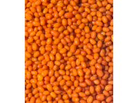 Šaldytos šaltalankio uogos, 1 kg