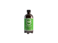 Ekologiškas žaliosios arbatos gėrimas KOMBUCHA GREEN TEA, 400 ml