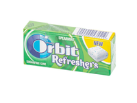 Kramtomosios gumos kubeliai REFRESHERS Spearmint, 15,6 g