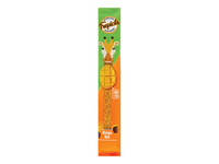 Džiovintų mangų suktinukas TROPICS, 27 g